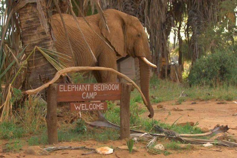Elephant Bedroom Camp Archers Post Exterior photo